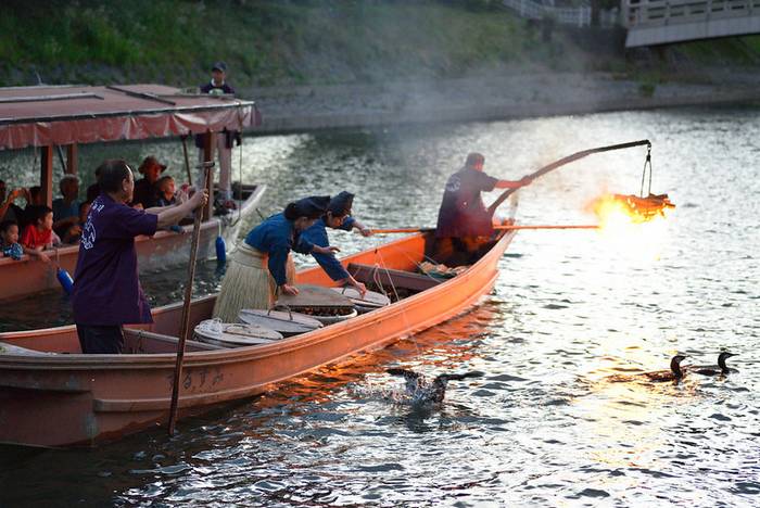 ukai a técnica milenar de pesca que utiliza pássaros