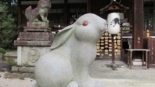 Santuário Higashi Tenno Okazaki, Santuário dos Coelhos em Kyoto