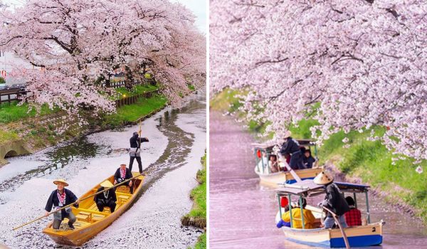 Hanaikada Kyoto