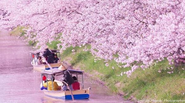 Hanaikada em Kyoto