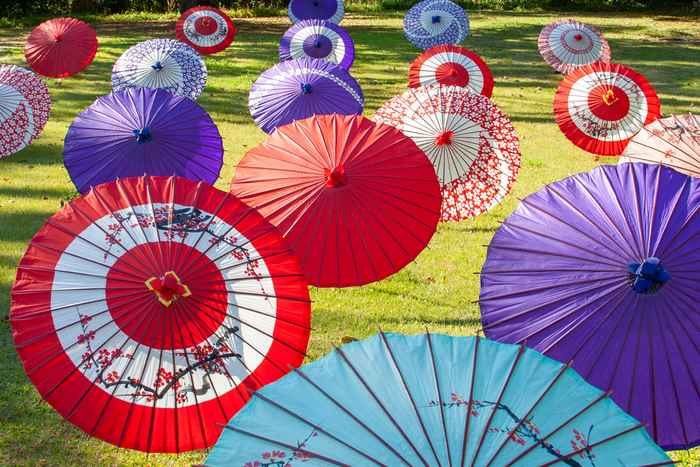 Wagasa - Confira curiosidades sobre a tradicional sombrinha japonesa 