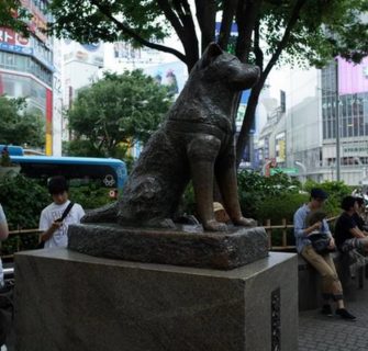 6 lugares relacionados ao famoso cão leal do Japão