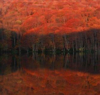 10 lugares lindos e obrigatórios para ver as folhas de outono no Japão