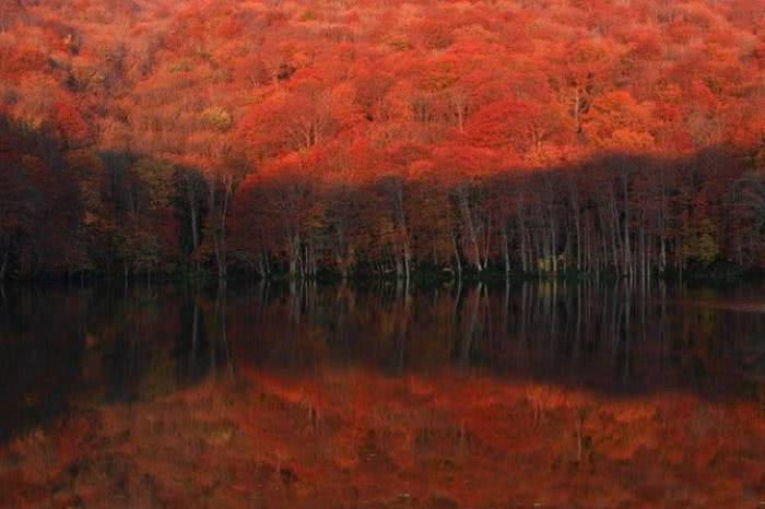 10 lugares lindos e obrigatórios para ver as folhas de outono no Japão