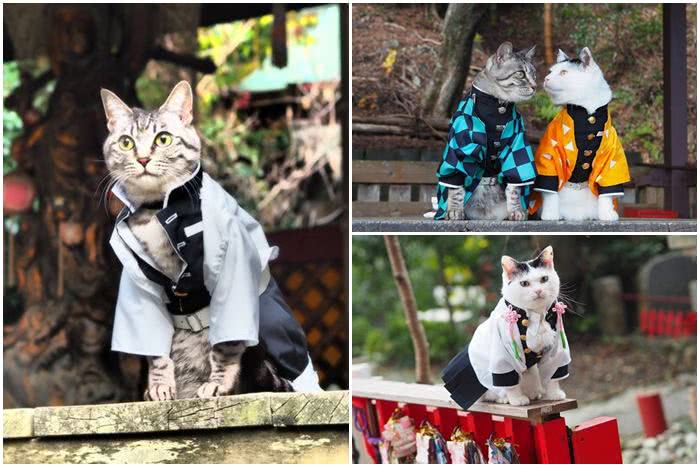 Entusiasta de cosplay transforma gatos em versões felinas de personagens de anime populares 