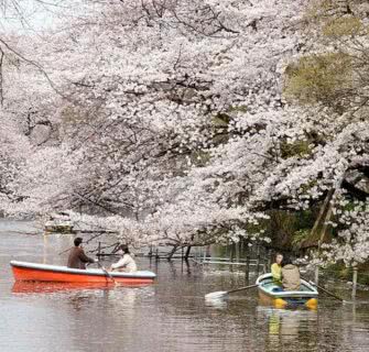 Inokashira Park, Kichijoji, Tokyo, Japan