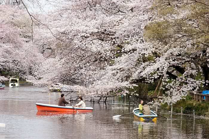 Inokashira Park, Kichijoji, Tokyo, Japan