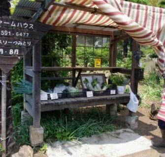 Mujin Hanbai-jo, as vendinhas de verduras que não tem atendentes