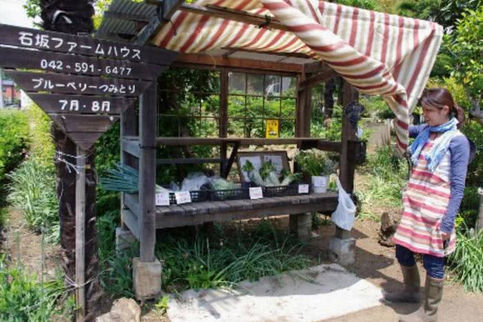 Mujin Hanbai-jo, as vendinhas de verduras que não tem atendentes