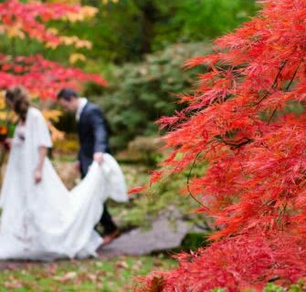 casamento japonês