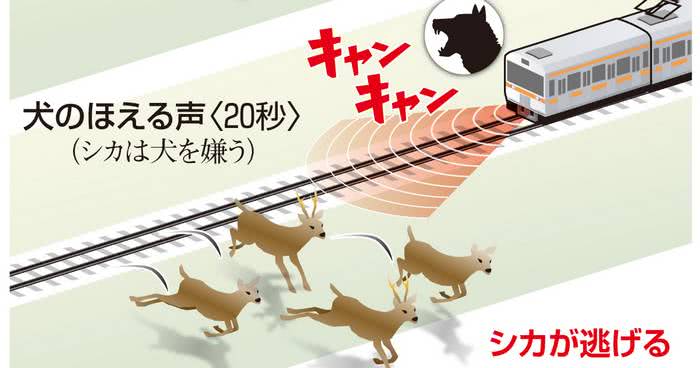 10 fatos surpreendentes sobre o sistema ferroviário do Japão 