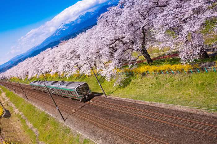 10 fatos surpreendentes sobre o sistema ferroviário do Japão