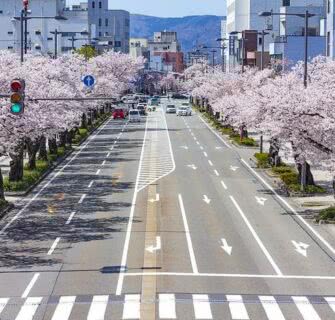 Por que o Japão dirige do lado esquerdo da estrada