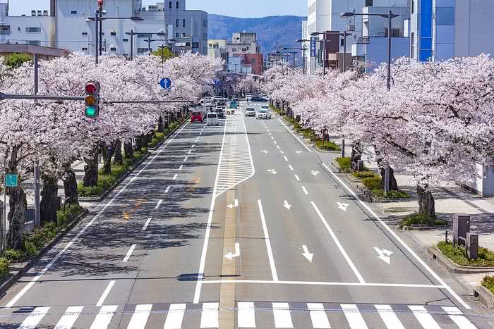 Por que o Japão dirige do lado esquerdo da estrada