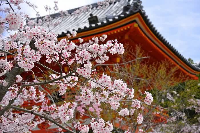 Templo Ninna-ji, Kyoto