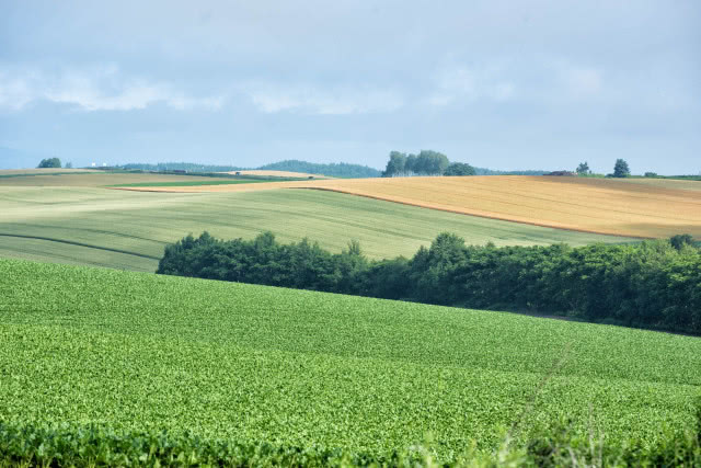 Hokkaido