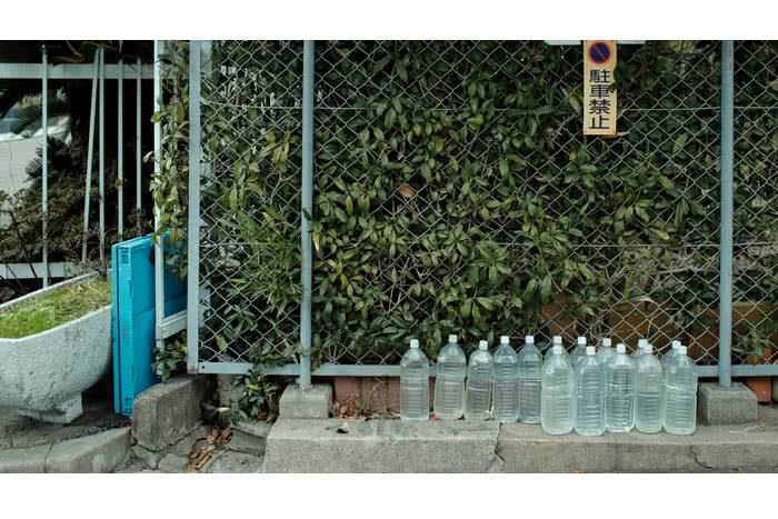 Neko yoke, as garrafas de água que espantam gatos no Japão