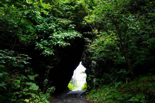 Totoro descoberto em uma floresta no Japão