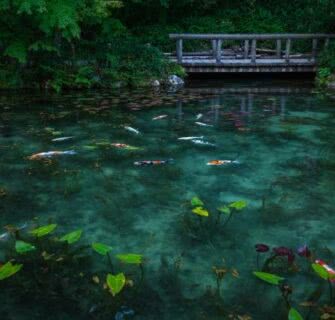 A bela lagoa japonesa que parece uma pintura de Monet da vida real