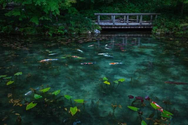 A bela lagoa japonesa que parece uma pintura de Monet da vida real 