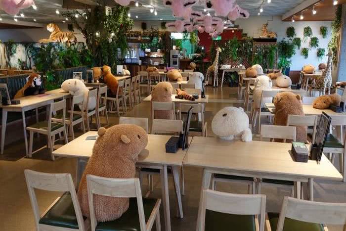 Um zoológico no Japão está usando capivaras de pelúcia para manter o distanciamento social