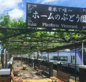 Uma estação ferroviária no Japão tem como atração uma vinícola em sua plataforma