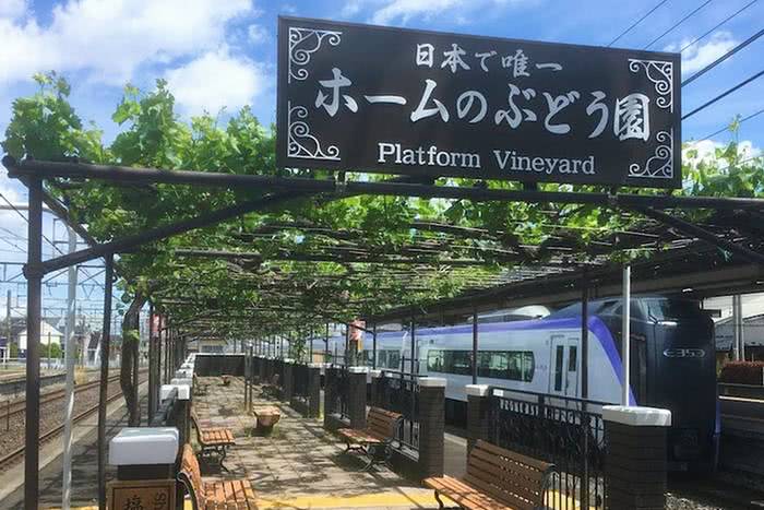 Uma estação ferroviária no Japão tem como atração uma vinícola em sua plataforma