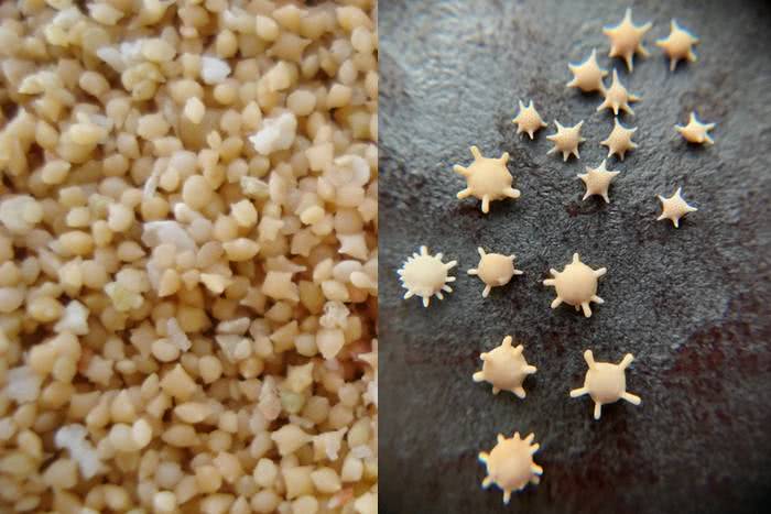Praia de Okinawa tem grãos de areia em forma de estrelas 
