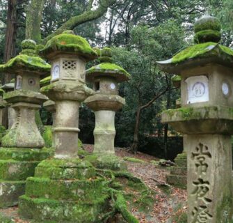Lanternas de Pedra em Nara