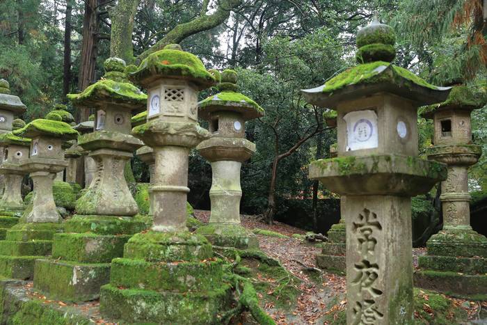 Lanternas de Pedra em Nara