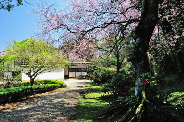 pavilhao japonês, Ibirapuera 