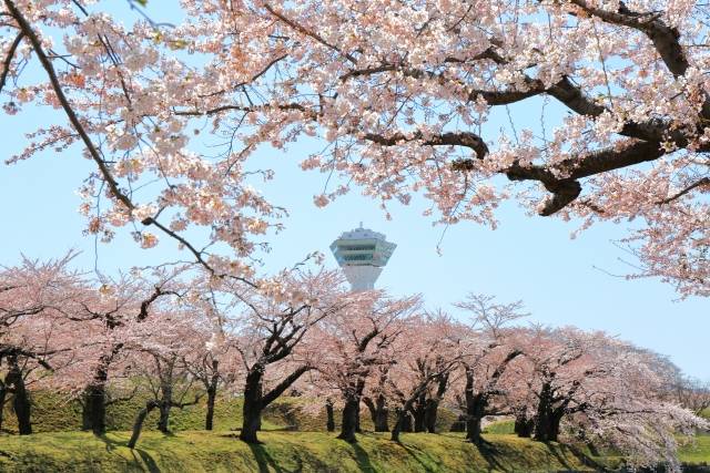 Goryokaku A icônica fortaleza em forma de estrela, localizada em Hokkaido