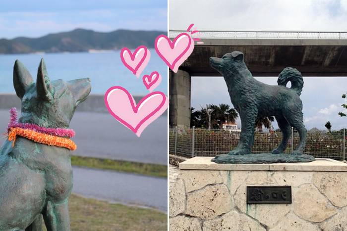 A história de amor dos cães Shiro e Marilyn em Okinawa