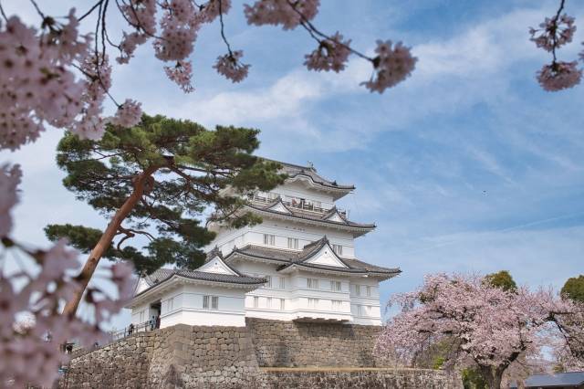 Castelo de Odawara