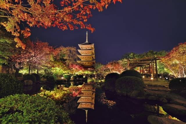 Templo Toji no outono 