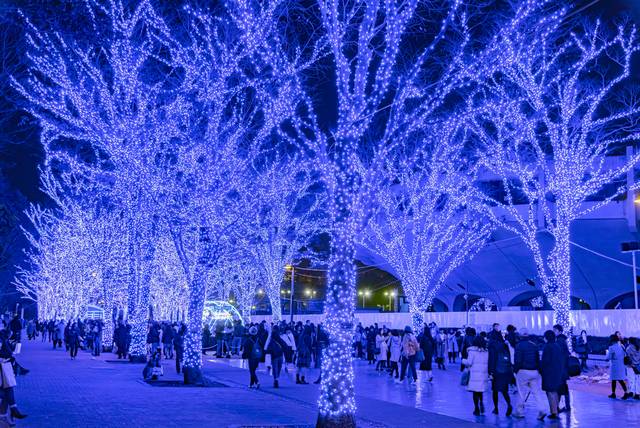 Shibuya Blue Cave Illumination