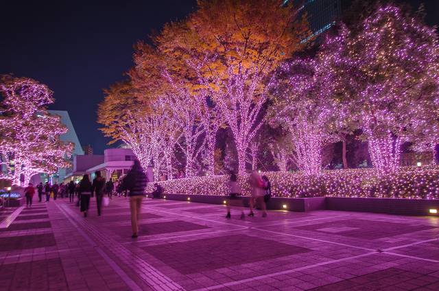 Shinjuku Terrace Illumination