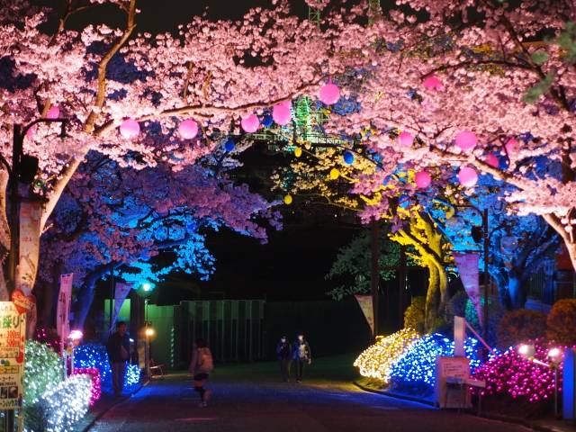 Yomiuriland Jewellumination 