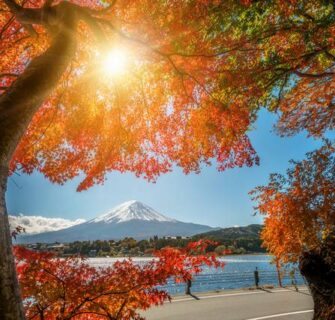 Monte Fuji Outono