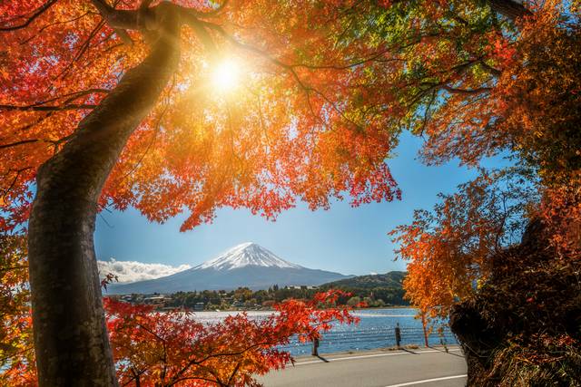 Monte Fuji Outono