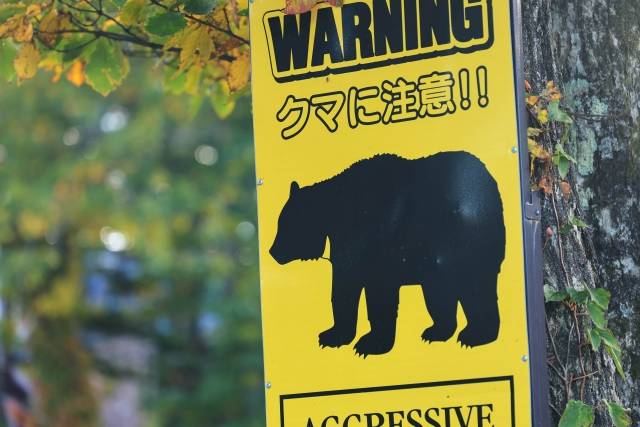 Ursos no Japão vivendo com vizinhos selvagens