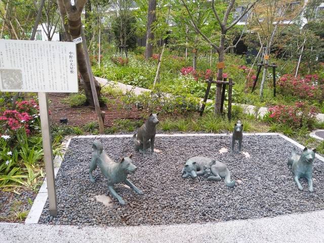 Estátuas de cães na prefeitura de Nakano 