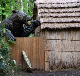 O pior ataque de urso da história do Japão
