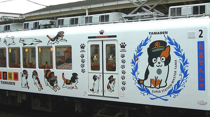 Tama Densha, Wakayama Electric Railway