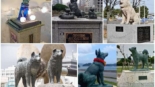 Cães homenageados no Japão