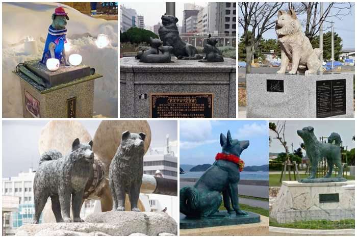 Cães homenageados no Japão
