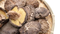 Cogumelos Shiitake