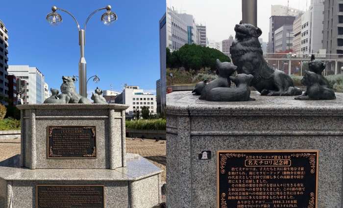 Estátuas de Chiori, o cão terapia