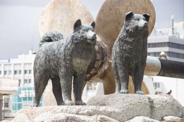 Estátuas de Taro e Jiro – Os heróis da Expedição Antártica