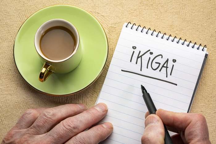 como encontrar seu ikigai